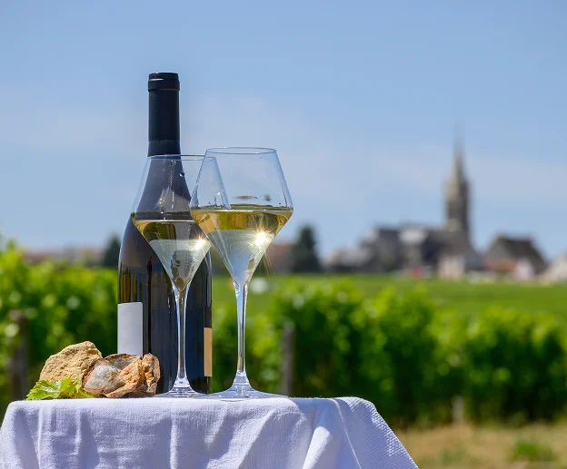 Dégustation de vins blancs, Pouilly Fumé et IGP Sauvigon à Tracu sur Loire dans la Nièvre