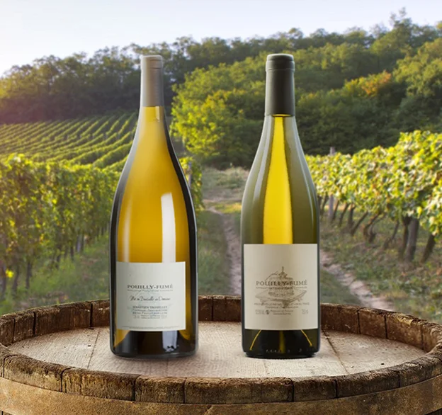 Dégustation des vins du domaine à Tracy sur Loire proche Pouilly sur Loire (58)