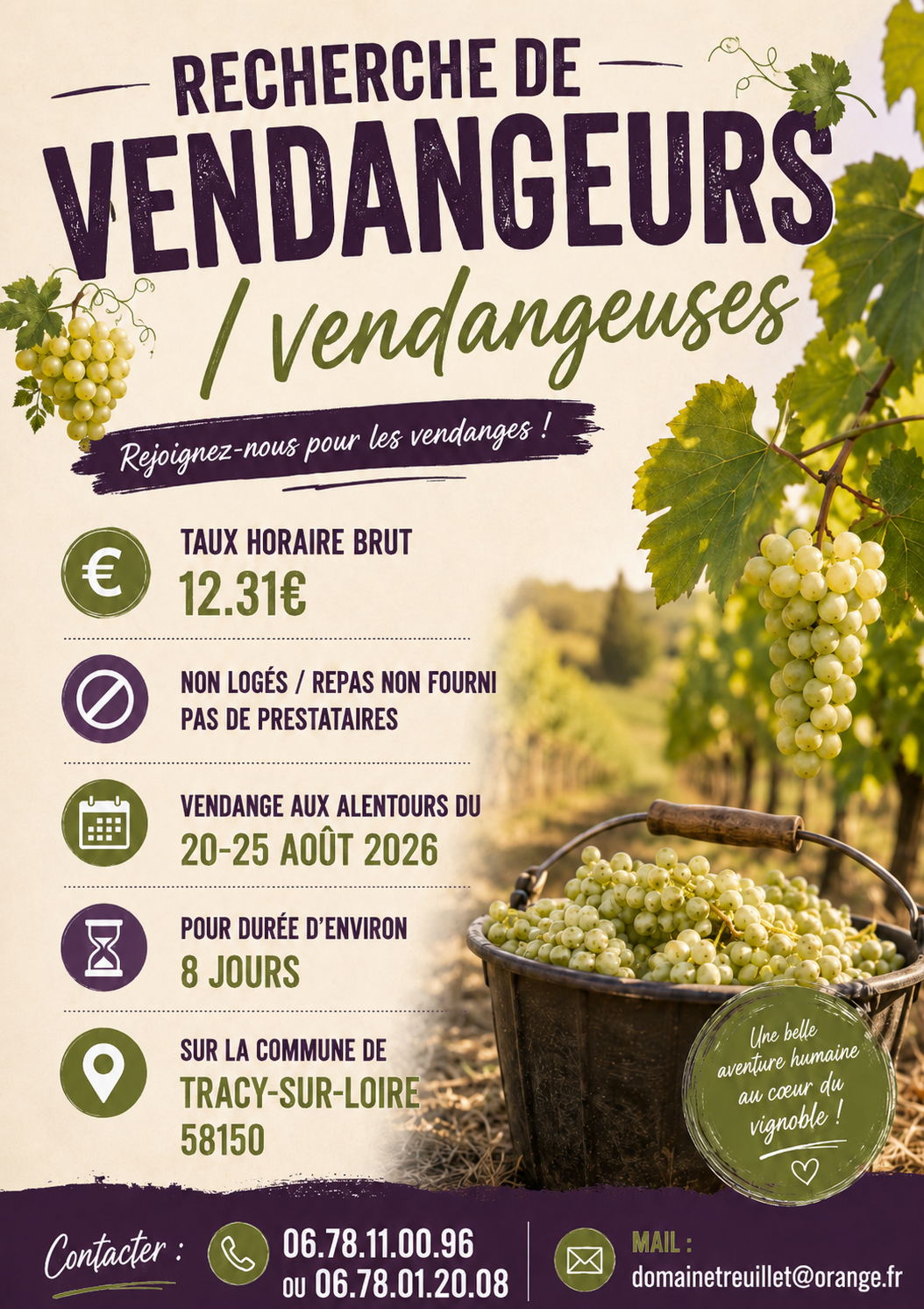 vendanges